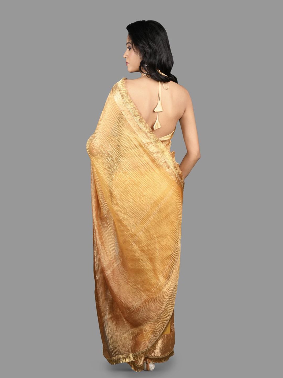 Zari Tissue Banarasi Saree - Image 4