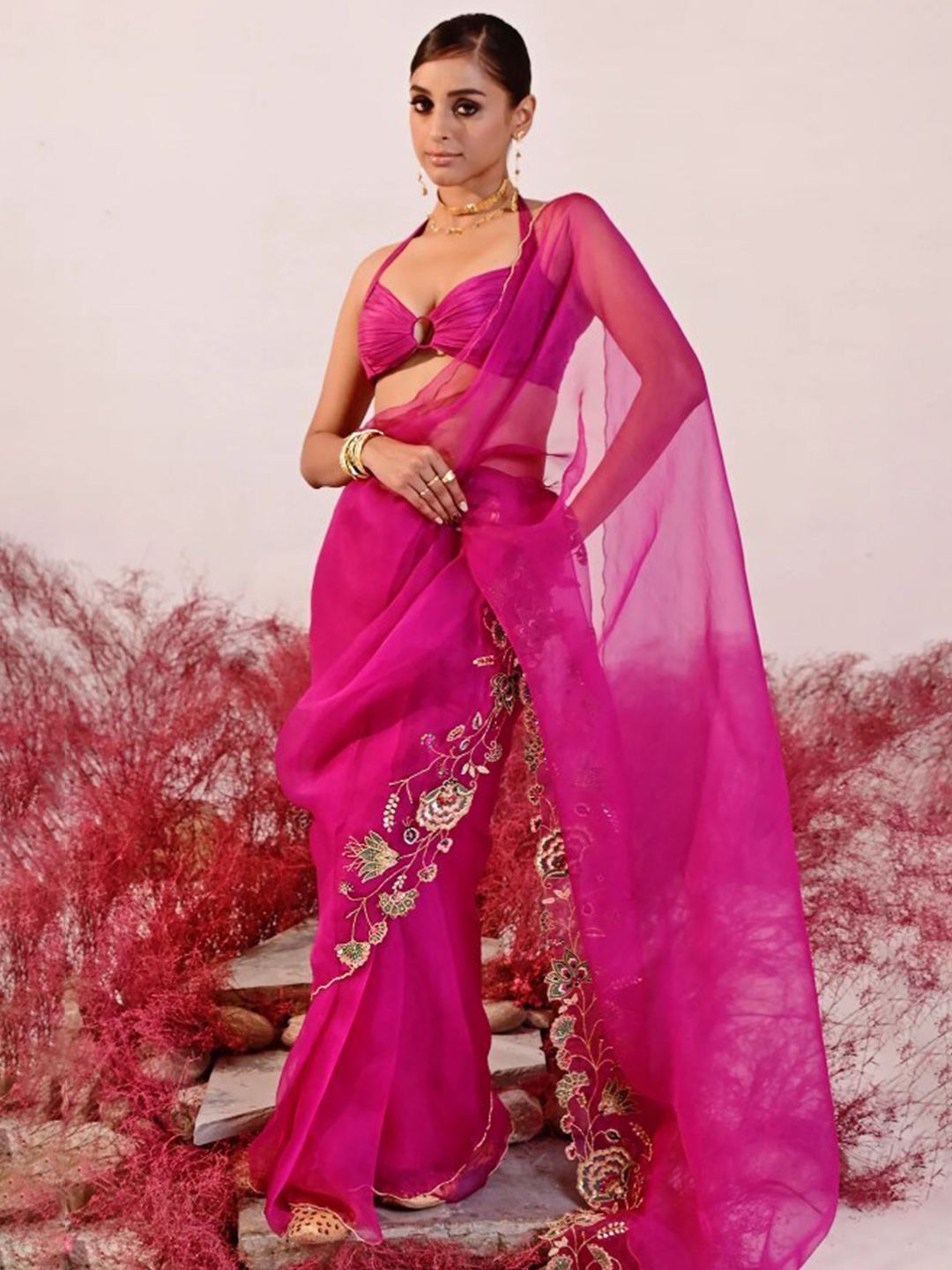 Baise Gaba Floral Embroidered Organza Saree